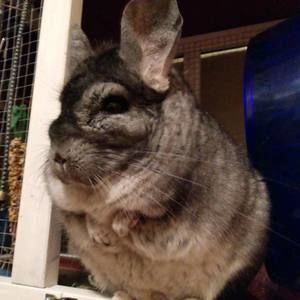 Meet your Posher, Cathy